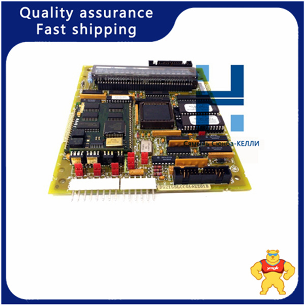 DS200SLCCG1AEE DS215SLCCG1AZZ01B (3)